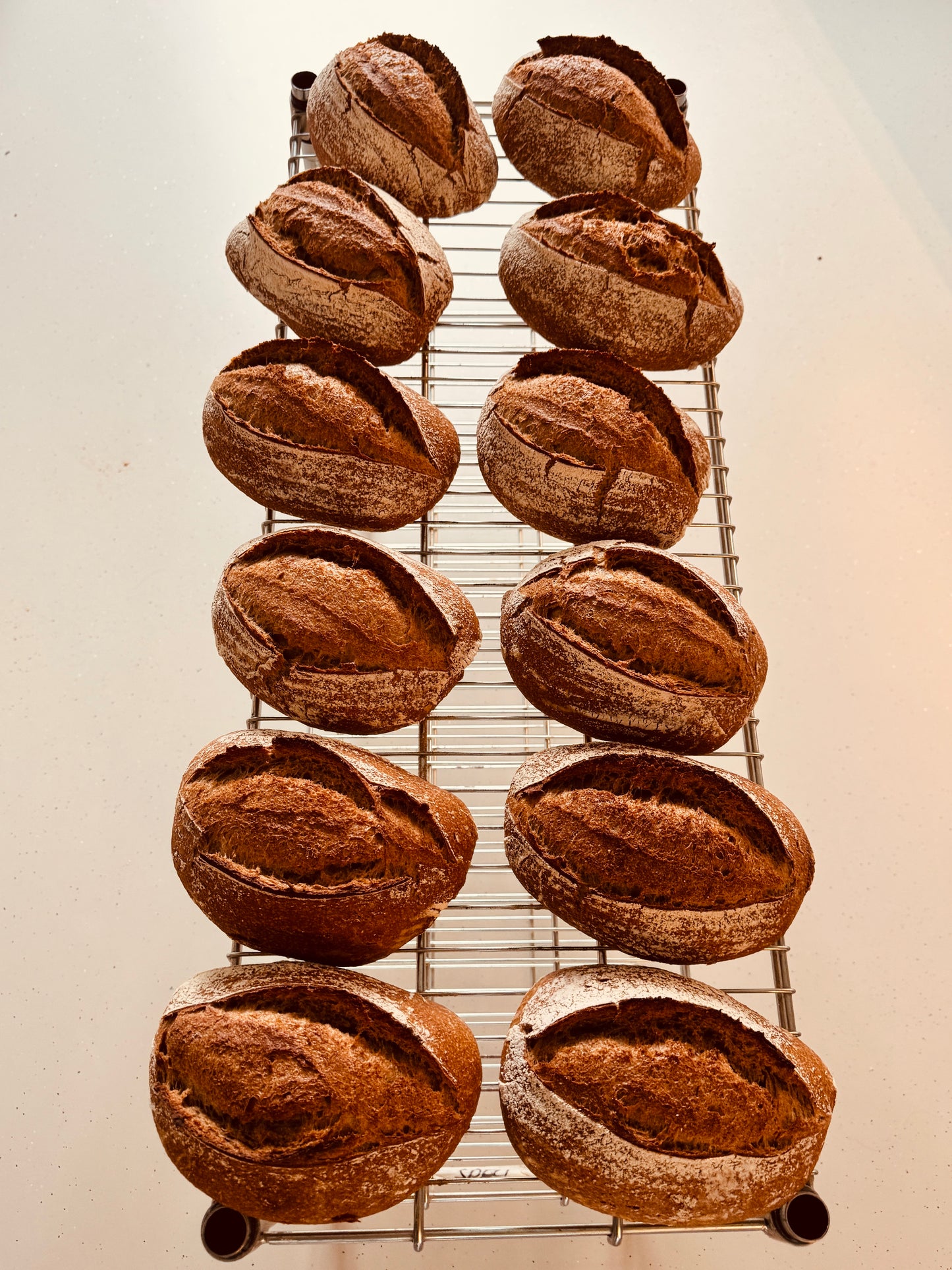 12 volkorenbroden op afkoelrek